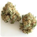 Шишки "White Widow" (Белая вдова) Гидропоника - Бошка VHQ в Североморске Шишки "White Widow" (Белая вдова) Гидропоника - Бошка VHQ в Североморске