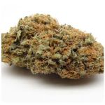 Шишки AK47 (Гидропоника, Бошка) VHQ в Североморске Шишки AK47 (Гидропоника, Бошка) VHQ в Североморске